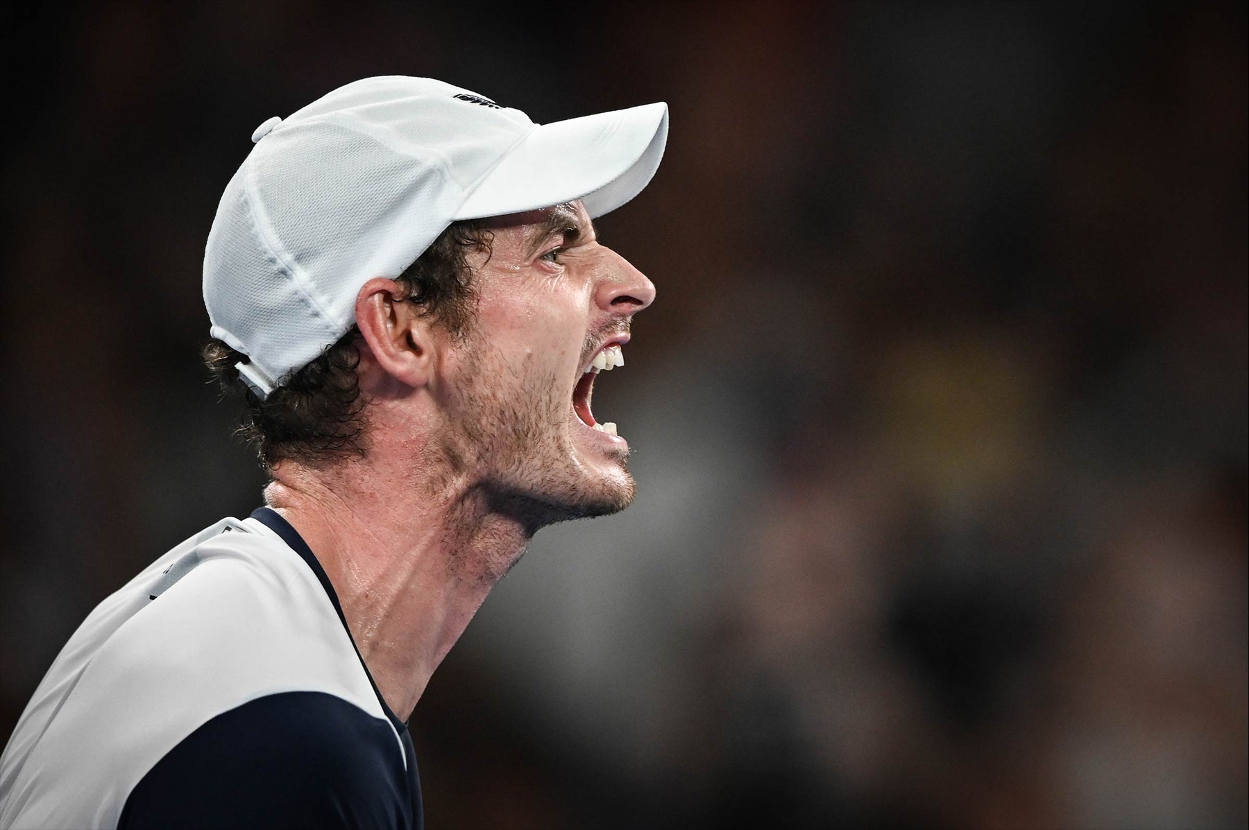 Welcome to the Functional Tennis Error page with this great picture of Andy Murray
